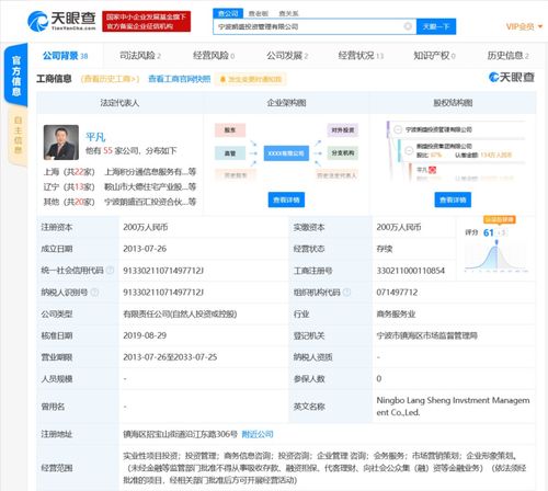 商務信息咨詢 企業決策的智慧導航